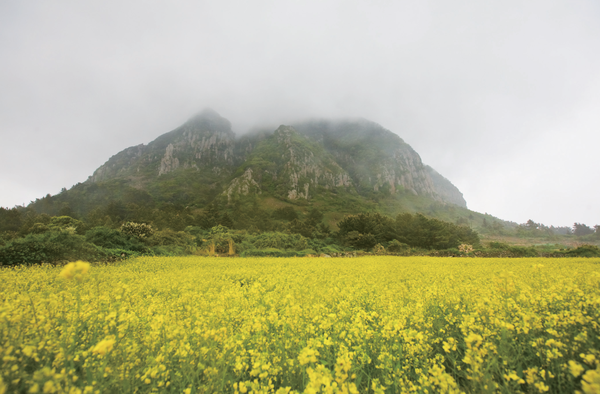 (사진=정병협 건축사)