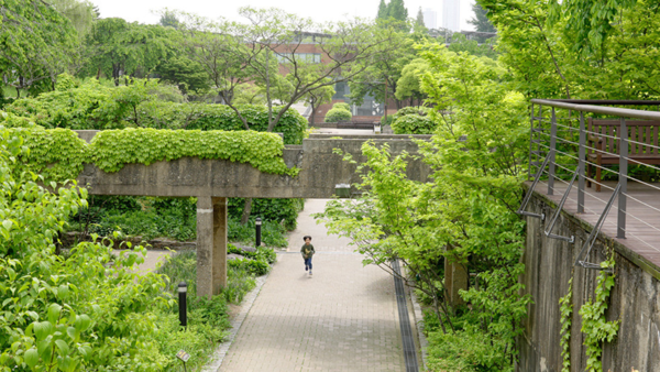 영화 ‘땅에 쓰는 시’는 사계절에 걸쳐 정영선 조경가의 작품을 보여준다. 선유도 공원, 여의도 샛강생태공원, 경춘선 숲길 등이다. 누구나 한 번쯤 걸었던 길 위에서 정영선 조경가의 작품과 마주했다는 사실을 새삼스레 알게 된다. 영화 ‘땅에 쓰는 시’ 스틸컷(사진=영화사 진진)