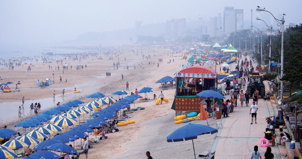 대천해수욕장 전경. (사진=김진섭 건축사)