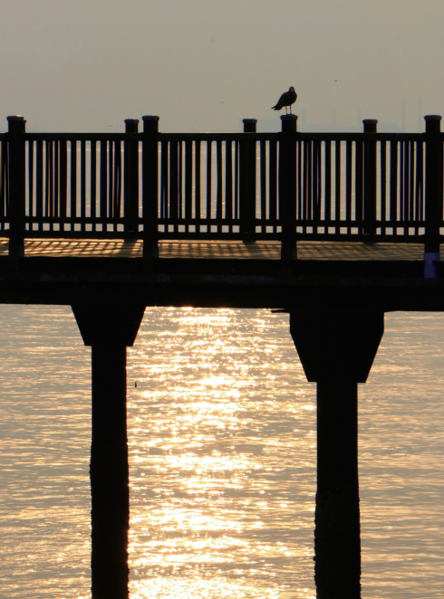 (사진=정익재 건축사)