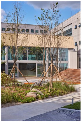 청원초등학교 체육관(교육연구시설, 노원), (설계=김한중 건축사, 그라운드아키텍츠건축사사무소, 사진=문체부)