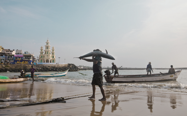 (사진=정병협 건축사)