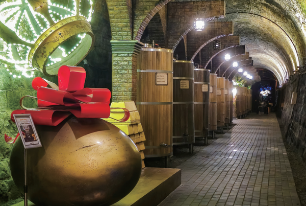 와인숙성고. (사진=김진섭 건축사)