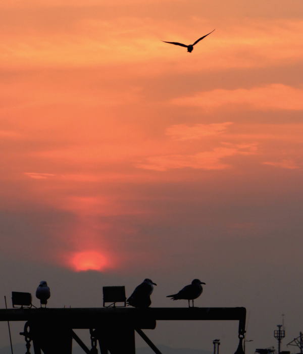 (사진=정익재 건축사)