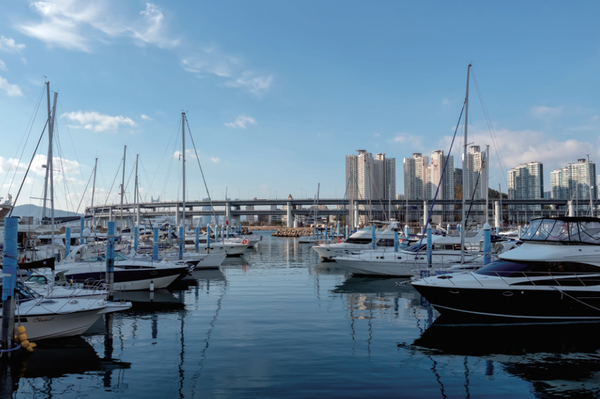 수영만에 정박해 있는 요트들. (사진=김진섭 건축사)