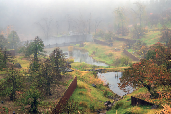 600년 수령을 자랑하는 모과나무를 만날 수 있는 풍설기천년. (사진=김진섭 건축사)