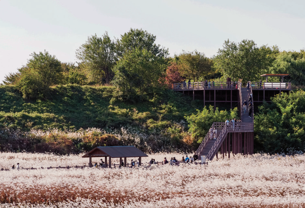 제방과 연결된 전망데크로 관람객들이 오르고 있다. (사진=김진섭 건축사)