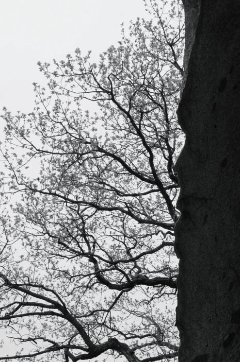 (사진=정익재 건축사)