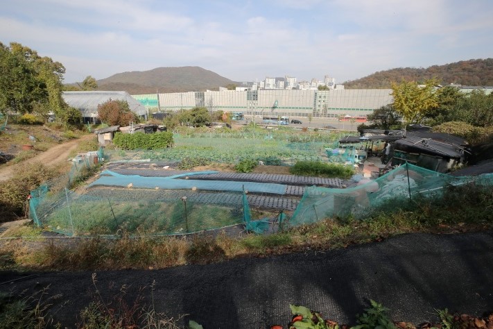 지난해 11월 신규 택지지구로 발표한 서울 서초구 원지동 모습(사진=뉴스1)