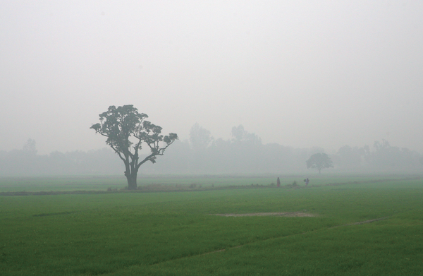 (사진=정병협 건축사)