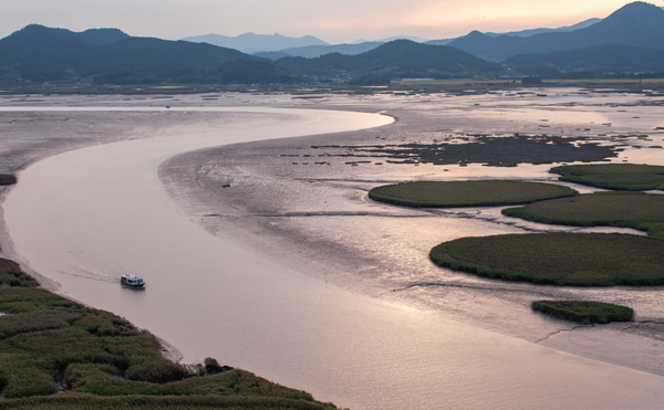 순천만 습지 S자형 수로 (사진=김진섭 건축사)