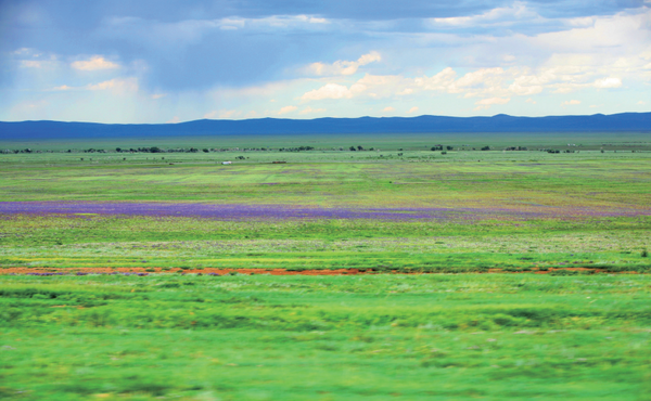 (사진=정병협 건축사)