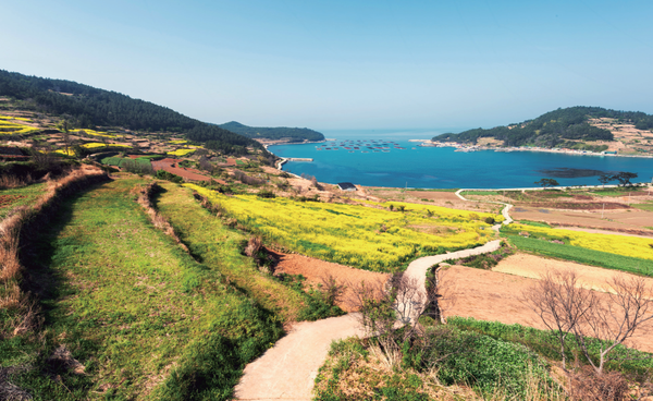 청산도에서 바라보는 구들장 논과 바다 전경 (사진=김진섭 건축사)