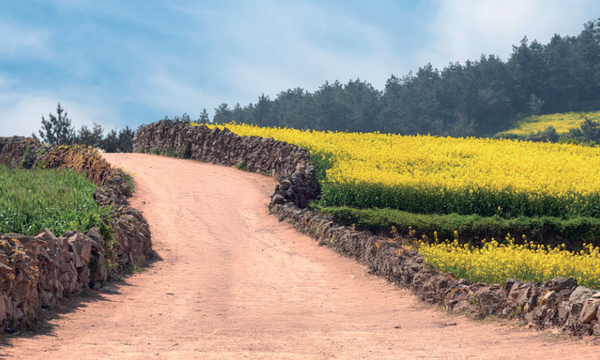 영화 서편제 촬영지인 청산도 ‘돌담길’ (사진=김진섭 건축사)