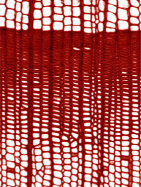 삼나무의 섬유질 구성(가도관) (자료=이재혁 건축사)