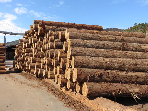 자연건조 (자료=이재혁 건축사)