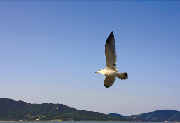(사진=정익재 건축사)