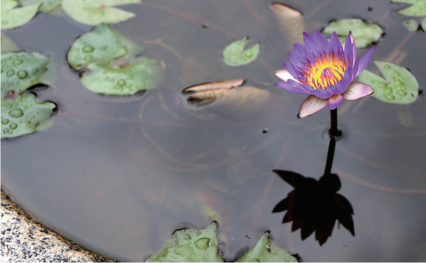 (사진=정익재 건축사)