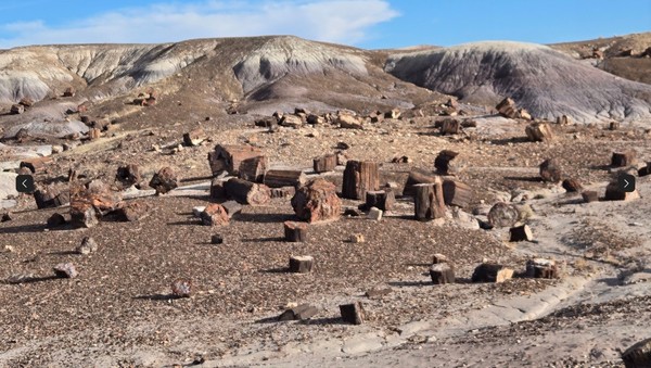 Petrified Forest National Park, Arizona, USA.