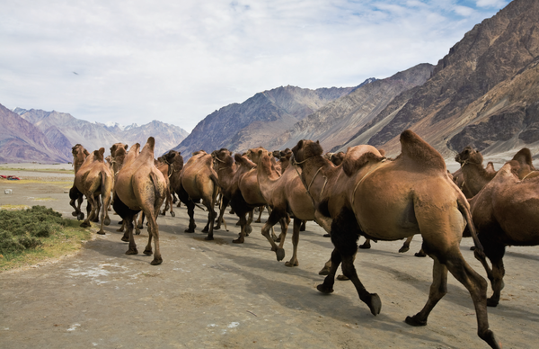 (사진=정병협 건축사)