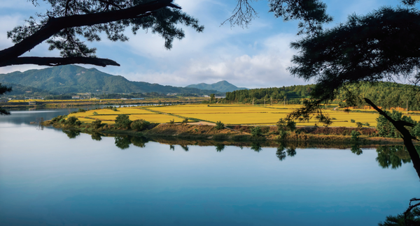 무우정에서 바라본 낙동강 전경. (사진=김진섭 건축사)