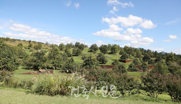 바람과 서리, 인간의 욕망을 이겨낸 모과나무들이 펼쳐진 풍설기천년(사진=대한건축사협회 건축사신문)