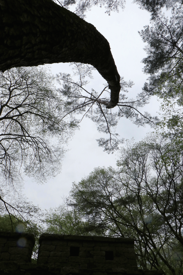 (사진=정익재 건축사)