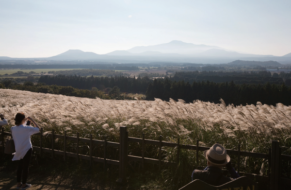(사진=정병협 건축사)