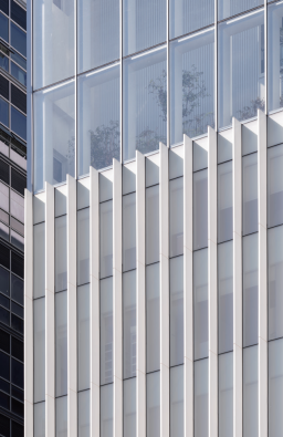 WHITE STRIPE. (사진=국토교통부)